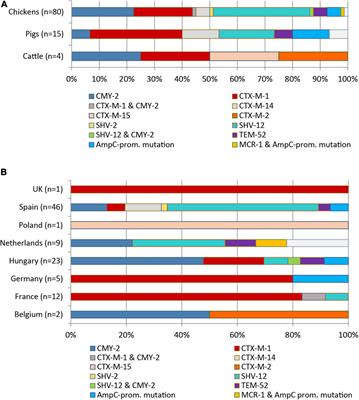 Genomic Diversity and Virulence Potential of ESBL- and AmpC-β-Lactamase-Producing Escherichia coli Strains From Healthy Food Animals Across Europe